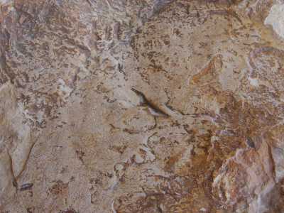 Le incredibili incisioni del rifugio del Cavone